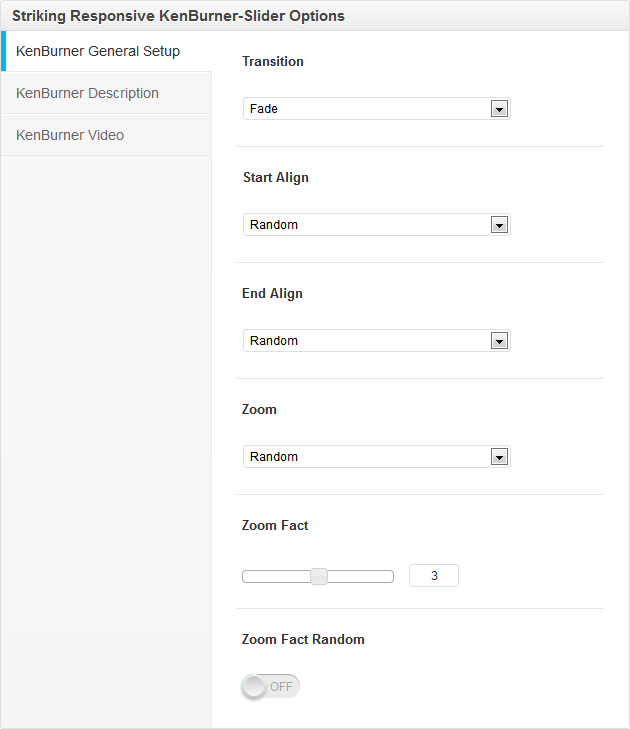 Options for the single slider item Revolution